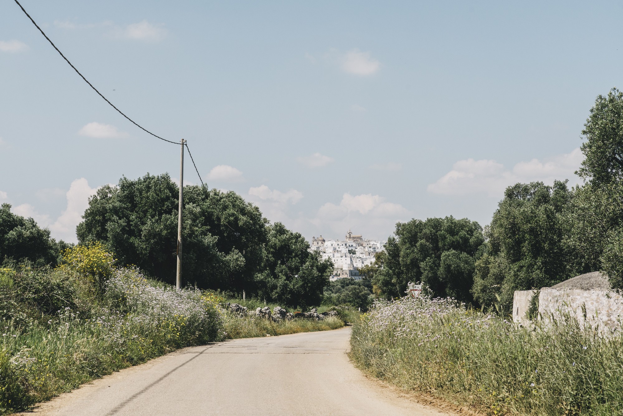 Galería de Masseria Moroseta / Andrew Trotter - 14