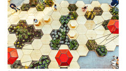 Curso CCAU: Teoría y práctica de la acción urbana / Guadalajara