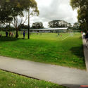 Copeland Associates Architects Design New Soccer Clubhouse in Auckland - Garden