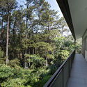 BRG House / Tan Tik Lam Architects - Houses, Garden, Facade, Handrail, Fence, Forest