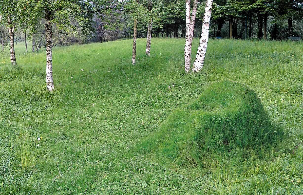 Gallery of New DIY System from TERRA! Allows You to Grow Your Own