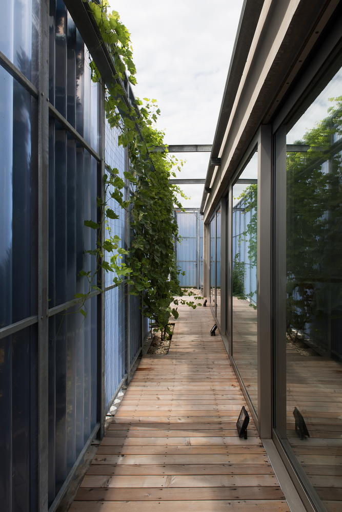 Gallery of House in a House / Plural 5