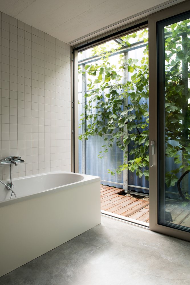 Gallery of House in a House / Plural 4