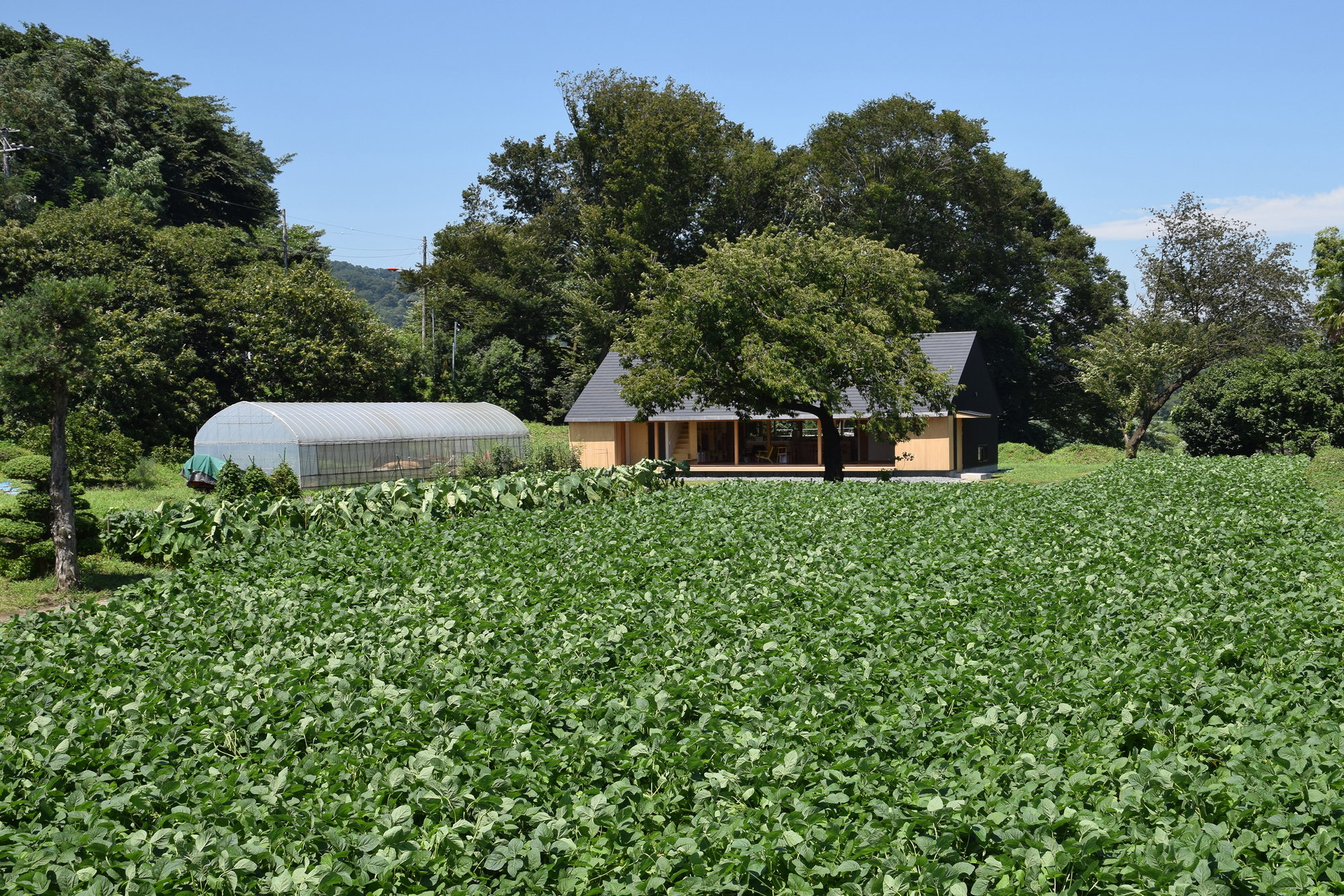 Gallery of House in Atsugi / Masashi Kikkawa + Hisashi Ikeda 8