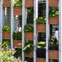 Resort in House / Ho Khue Architects - Windows, Facade, Garden
