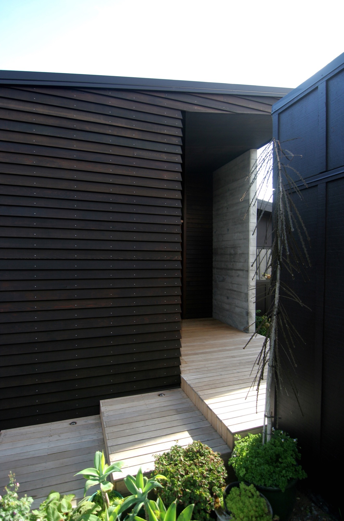 Gallery of Nelson House / a.k.a Architecture 4
