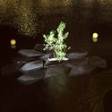 CEMEX + Aptum Architecture's Floating Concrete Structures Act as Mangroves for Shorelines - Image 4 of 4