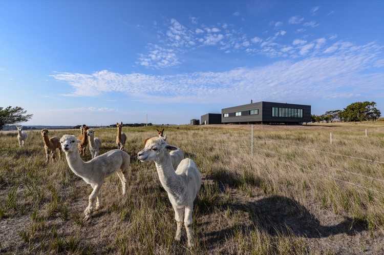 Caravanserai - French Island  / Lai Cheong Brown - Image 24 of 28