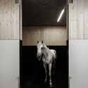 Práctica Veterinaria Equina de Griss  / marte.marte architects - Veterinaria