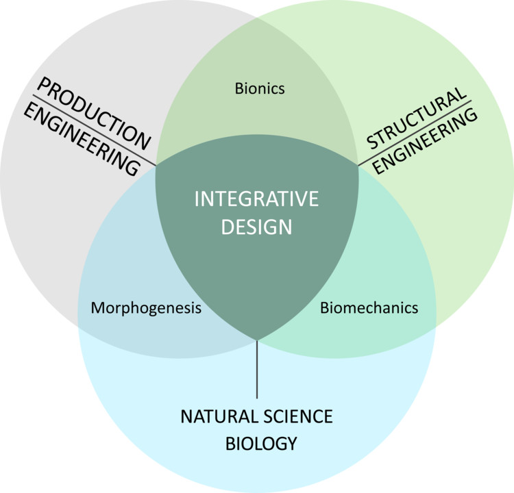 Pabellón Elytra Filament / ICD-ITKE University of Stuttgart - Imagen 13 de 18