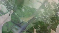 LIGA 25: Trópico Canónico | Camilo Restrepo / AGENdA (COL)