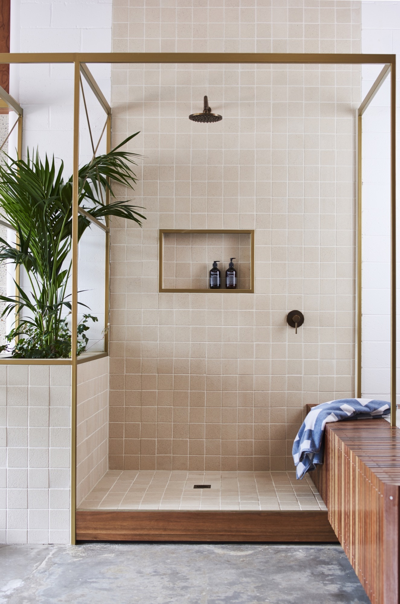 Gallery of Anston Architectural / Dan Gayfer Design - 6