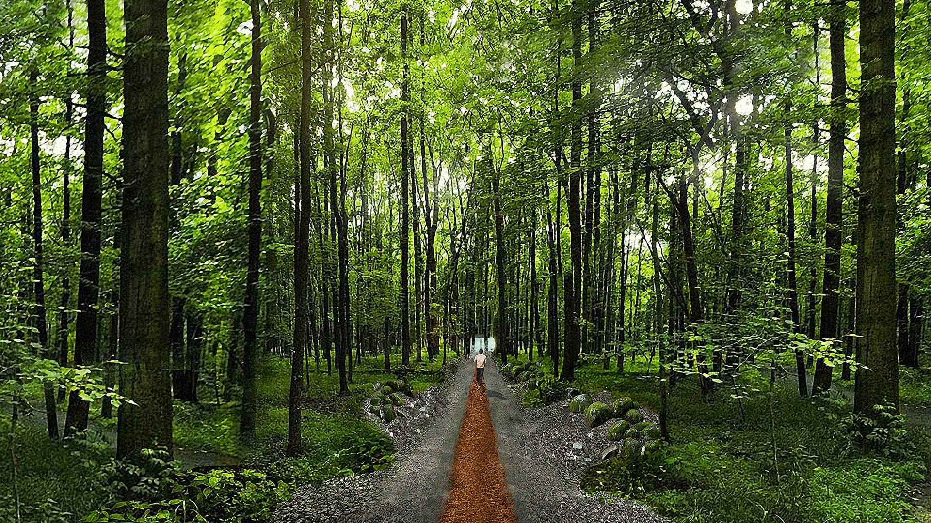 Gallery Of Dror S Parkorman Park In Istanbul Will Let Visitors Trampoline Through The Treetops 9