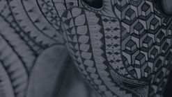 PICUDA Workshop 2017 Segunda Edición. Oax-Mex