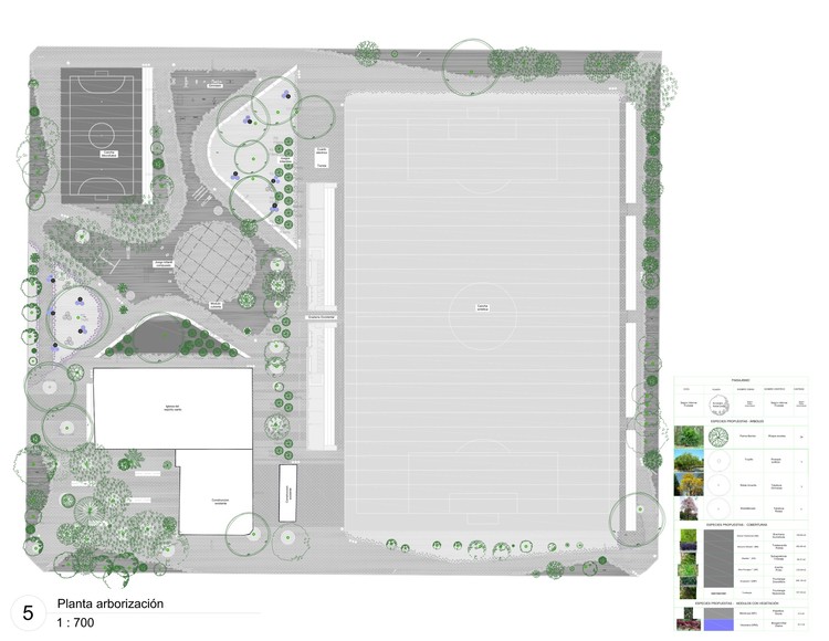 Arborization Plan