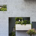 Binh House / VTN Architects - Windows, Facade