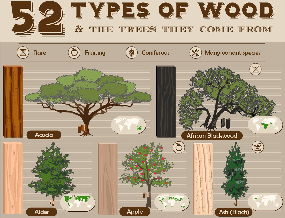 Gallery Of 52 Types Of Wood And The Trees They Come From 2 Gallery Of 52 Types Of Wood And The Trees They Come From 2