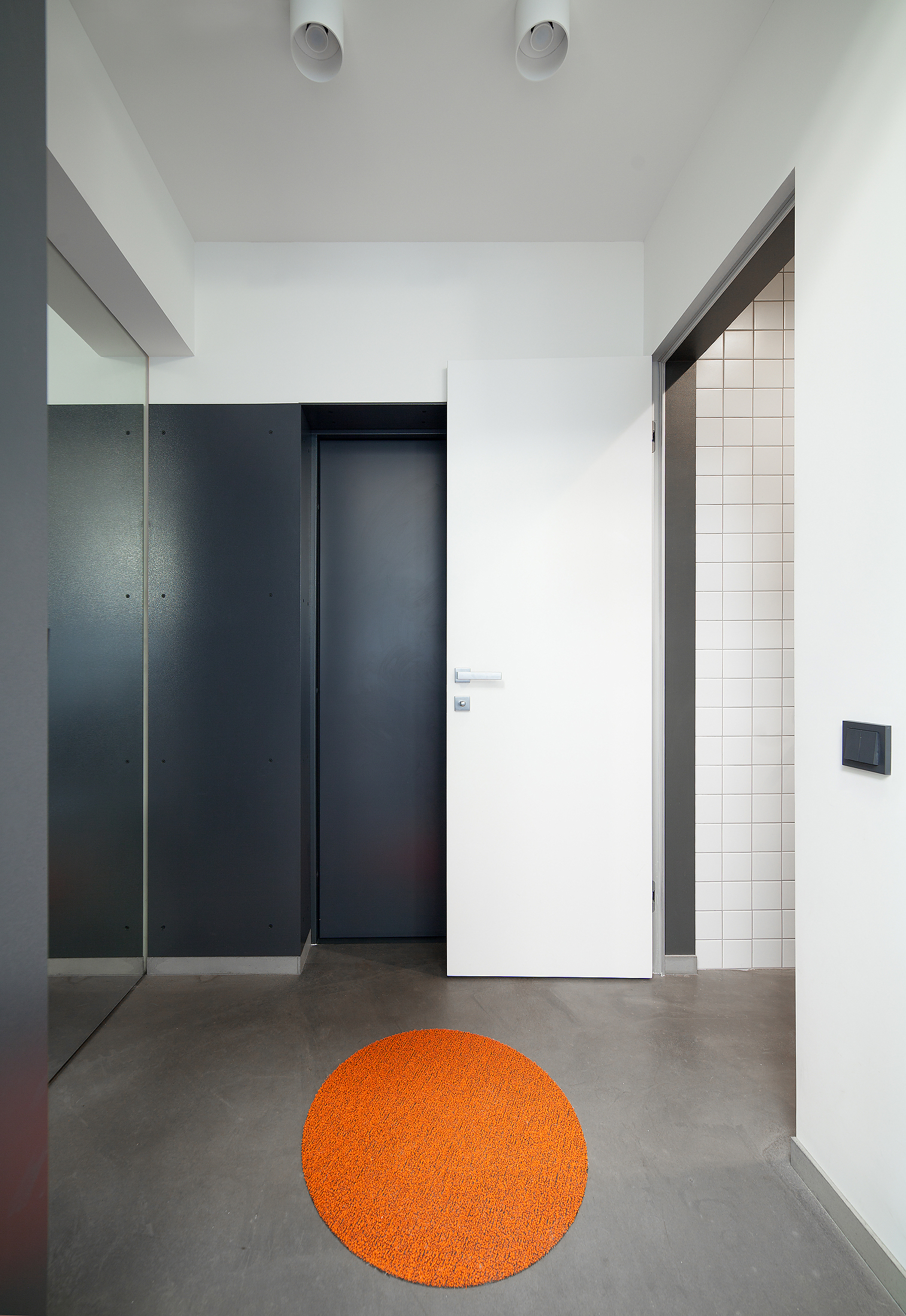 Galería de Reconstrucción de una casa en Kiev / TSEH Architectural