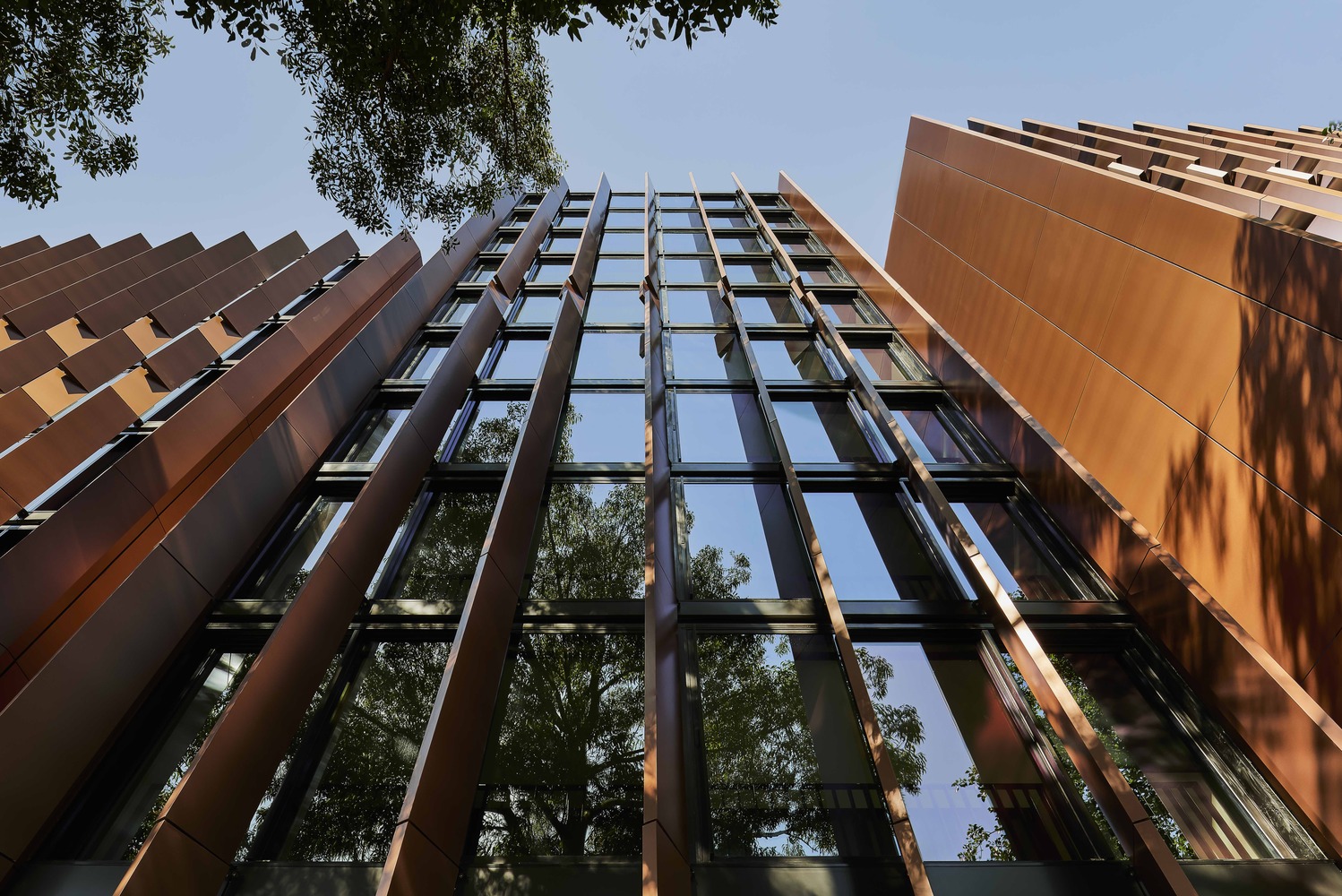 Connor / Smart Design Studio - 15 的图像 24