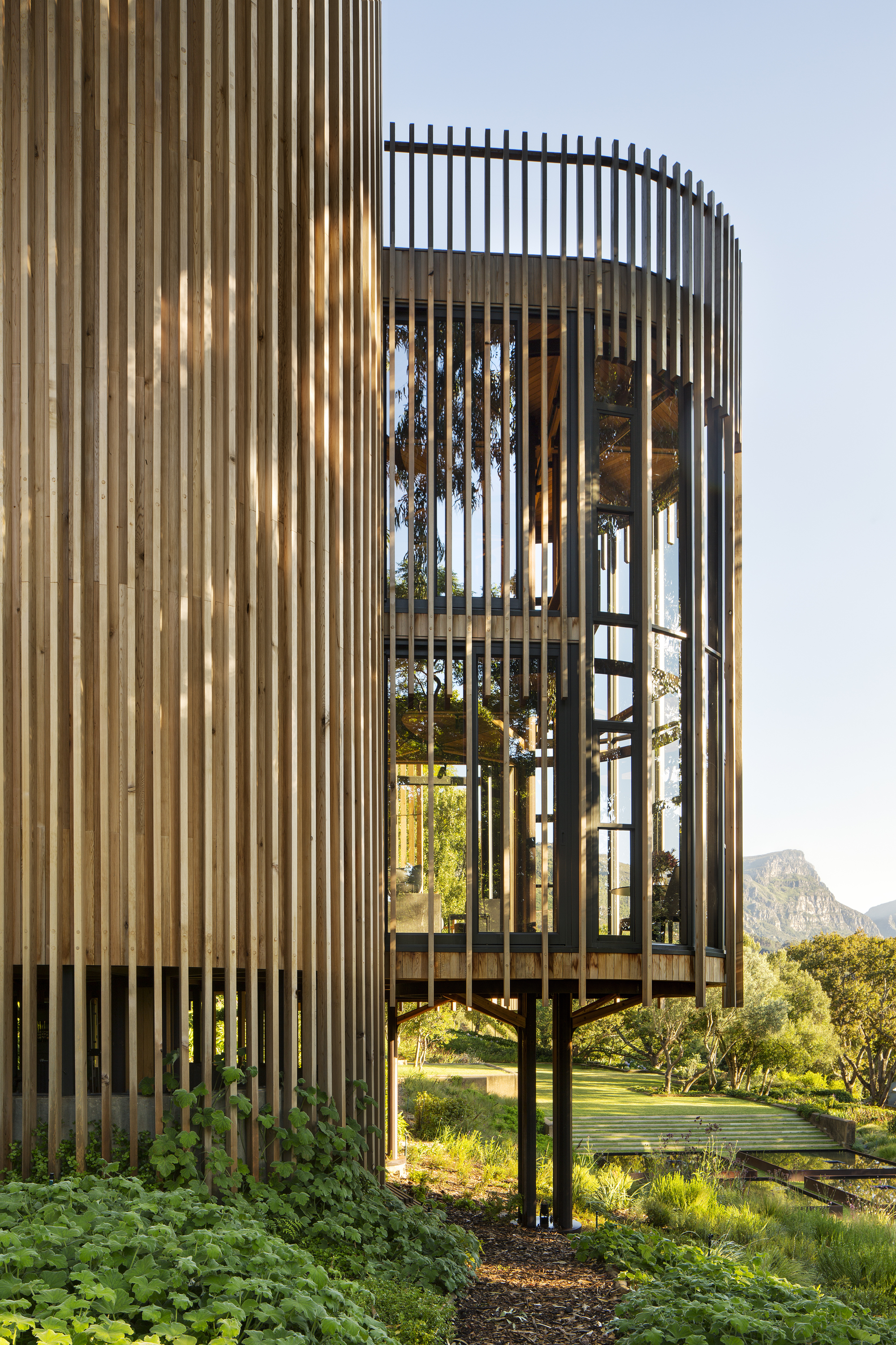 画廊 南非树屋 / Malan Vorster Architecture Interior Design - 7