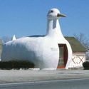 9 Patos para Robert Venturi  - Image 3 of 4