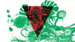  Lançamento Contravento 7.2 - Labirinto Verde