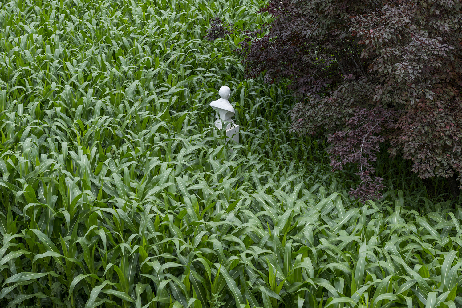 Galería de Artista Argentino interviene sitio arqueológico en Grecia - 8