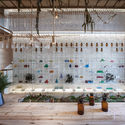 Molecure Pharmacy / Waterfrom Design - Store
