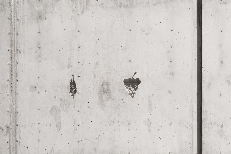 © Joan Guillamat