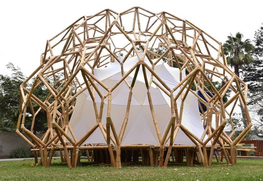 Fotos de la Semana: La belleza del Bambú - Imagen 6 de 17