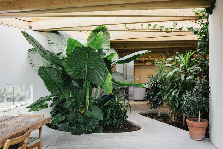 ¿Qué es el plantscaping? - Imagen 38 de 49