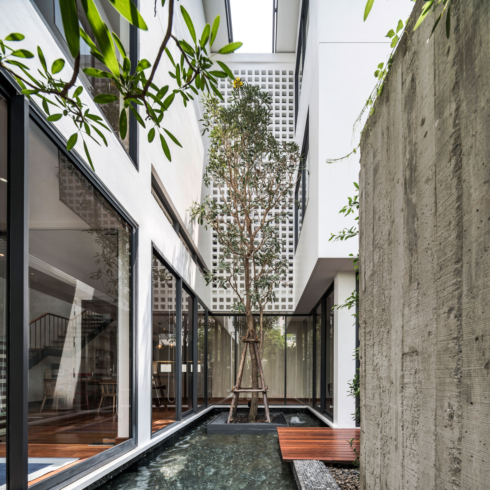 Gallery of Y House / Anonym 19