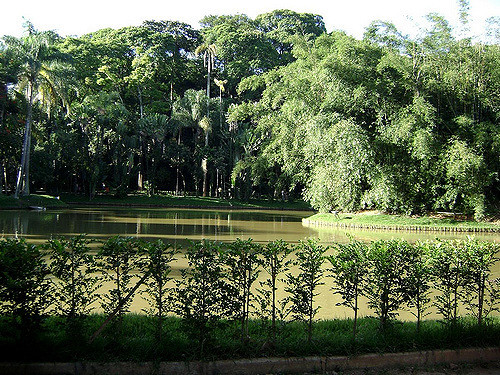 Rosa Kliass: Poeta da paisagem - Imagem 3 de 18