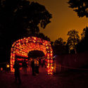 Check Out the Dazzling Pumpkin Architecture at New York's Great Jack O'Lantern Blaze - Image 3 of 4