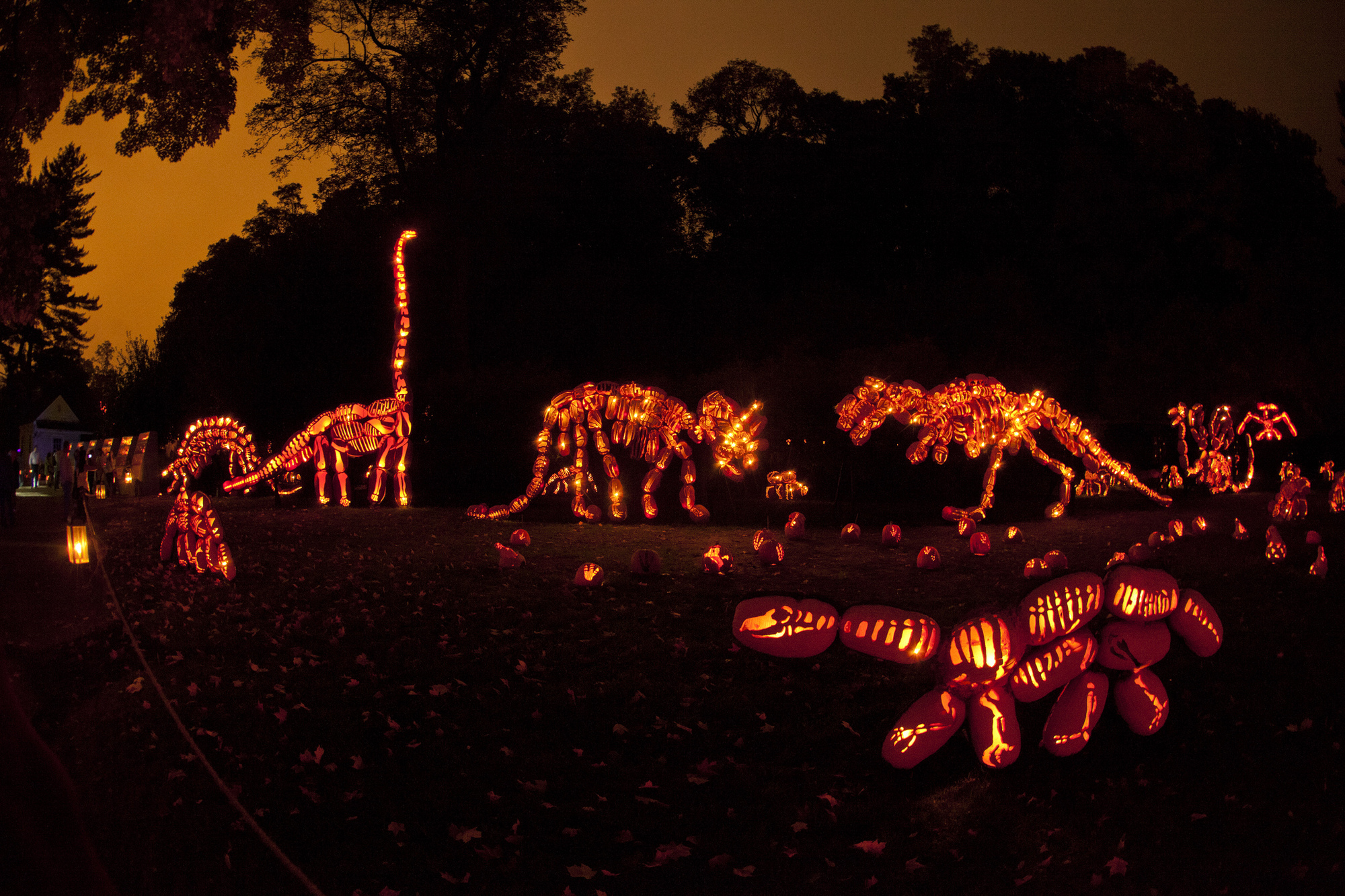 Gallery of Check Out the Dazzling Pumpkin Architecture at New York's ...