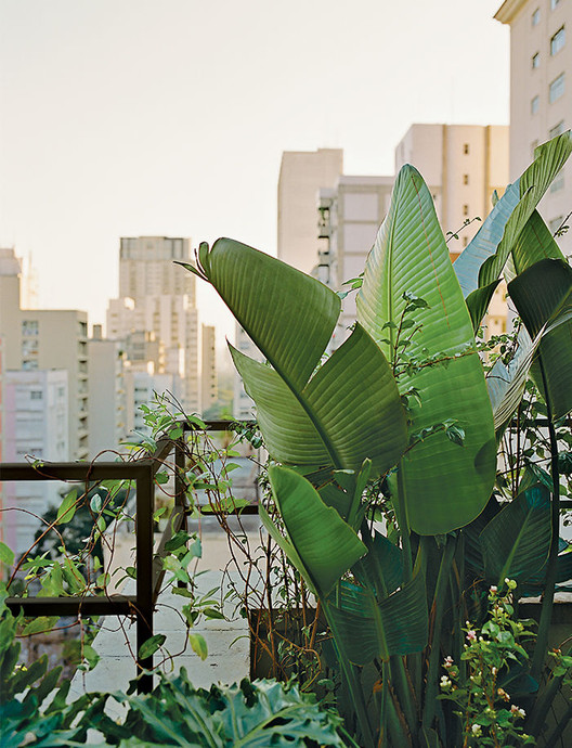 Apartamento Lobo  / SAO Arquitetura - Janela, Jardim