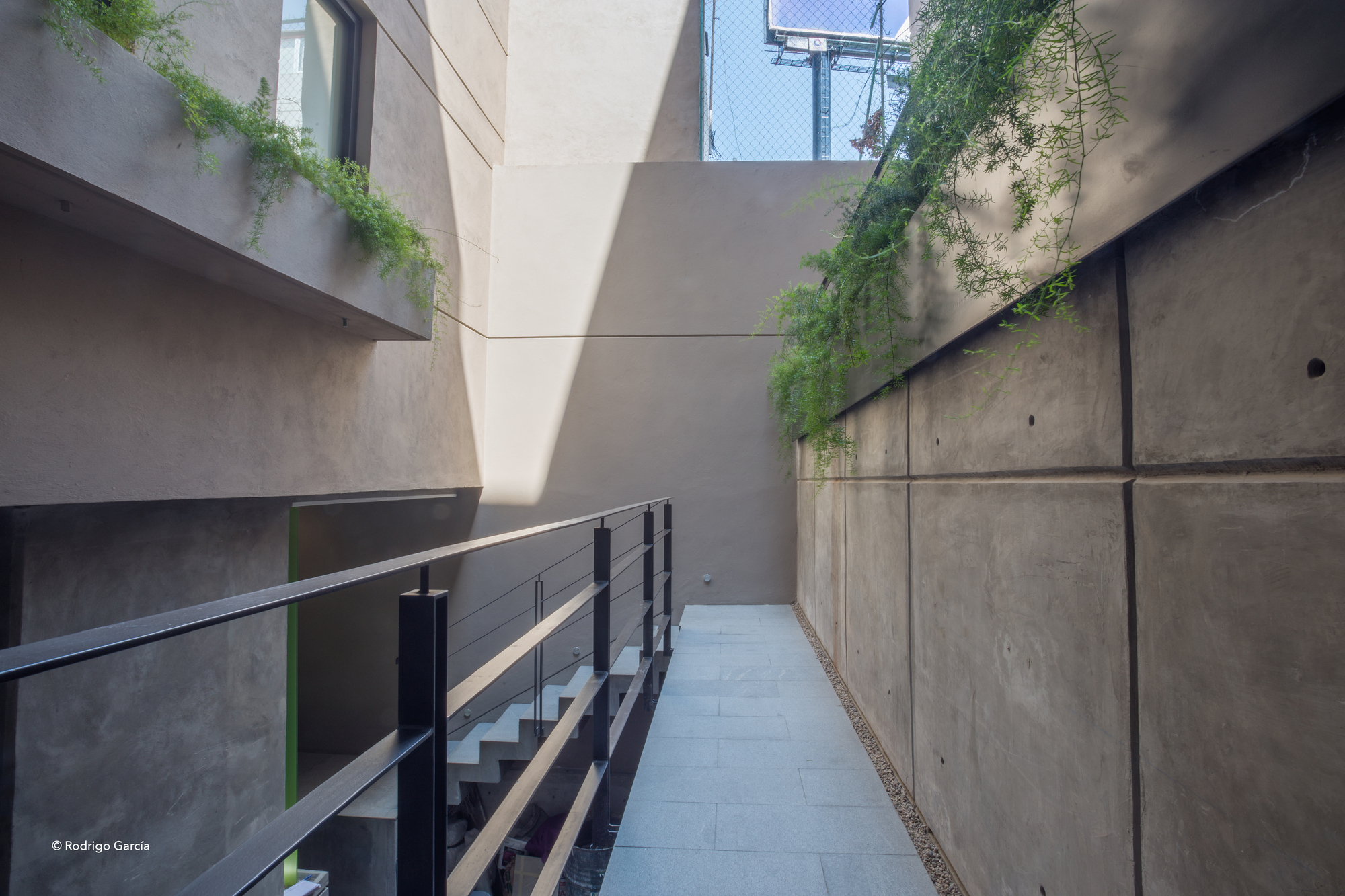 Galería de Miguel de Mendoza 14 / Rodrigo Gómez Maqueo 20