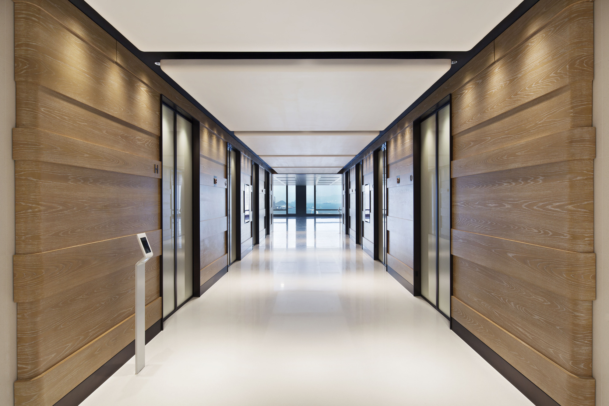 New world логотип. New world оружие. New world development. Limited company logo. New world (игра).