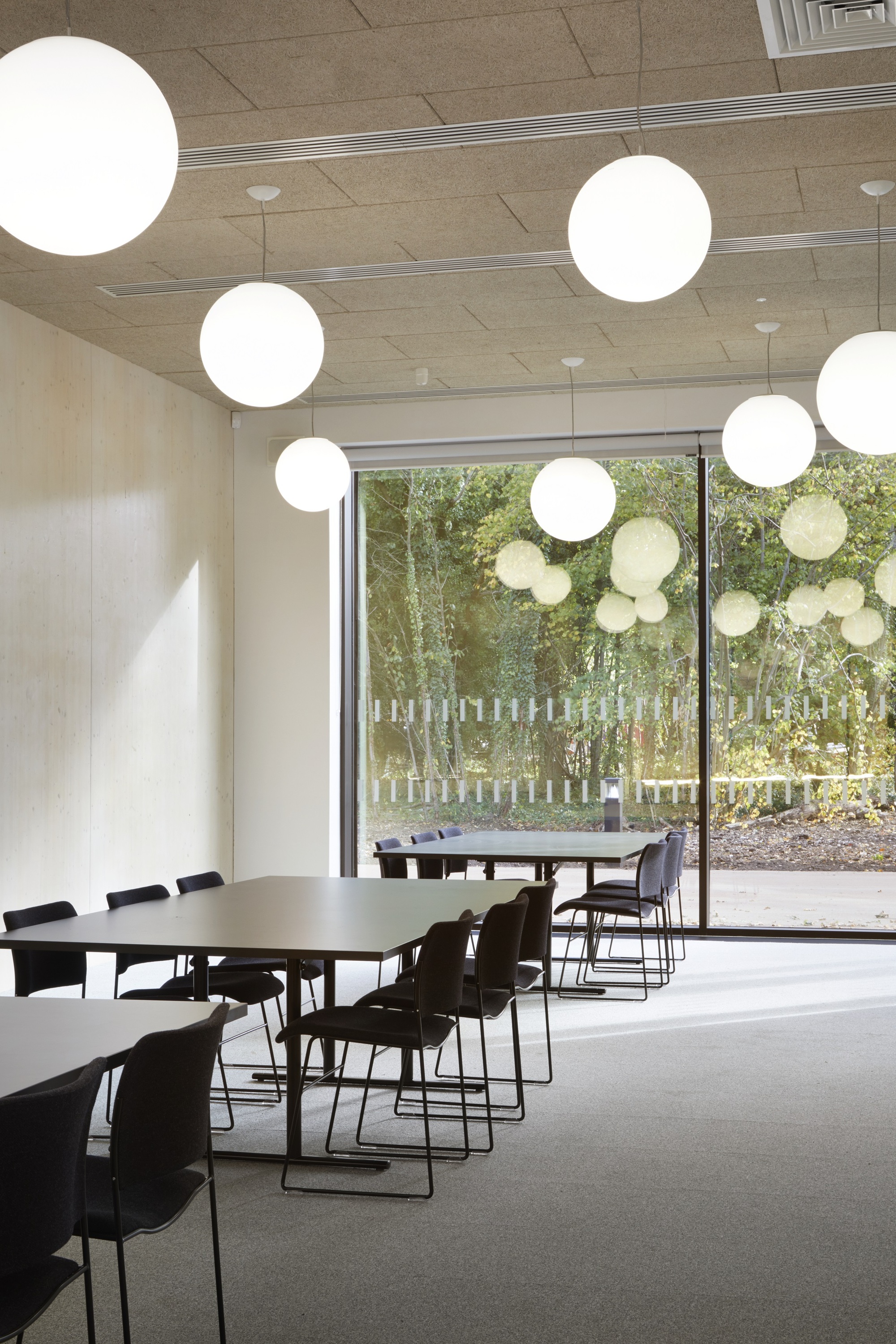 Gallery of Freemen’s School Swimming Pool / Hawkins\Brown - 7