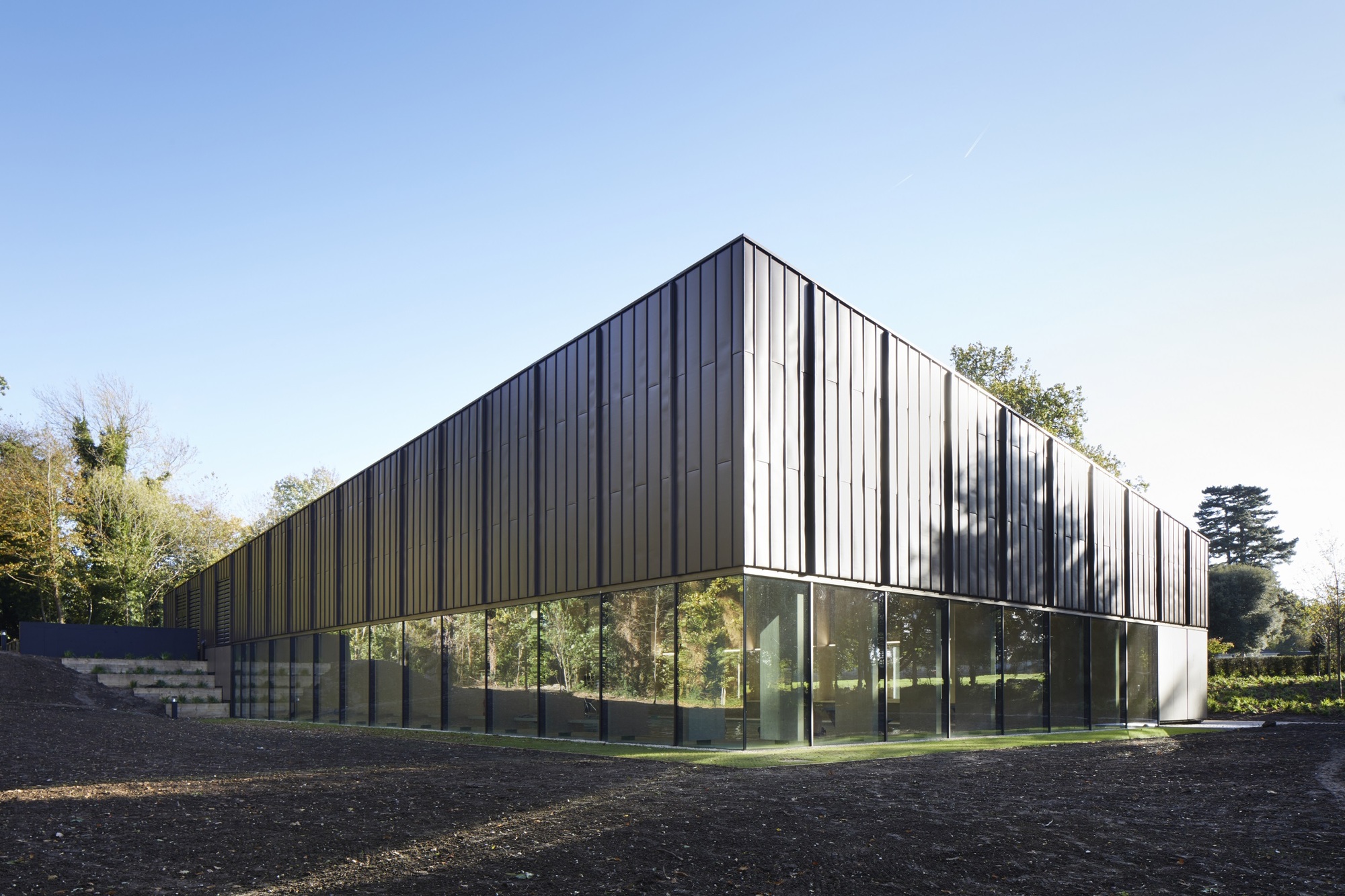 Gallery of Freemen’s School Swimming Pool / Hawkins\Brown - 2