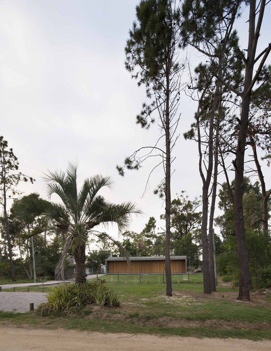 Marindia House / MASA - Image 20 of 50