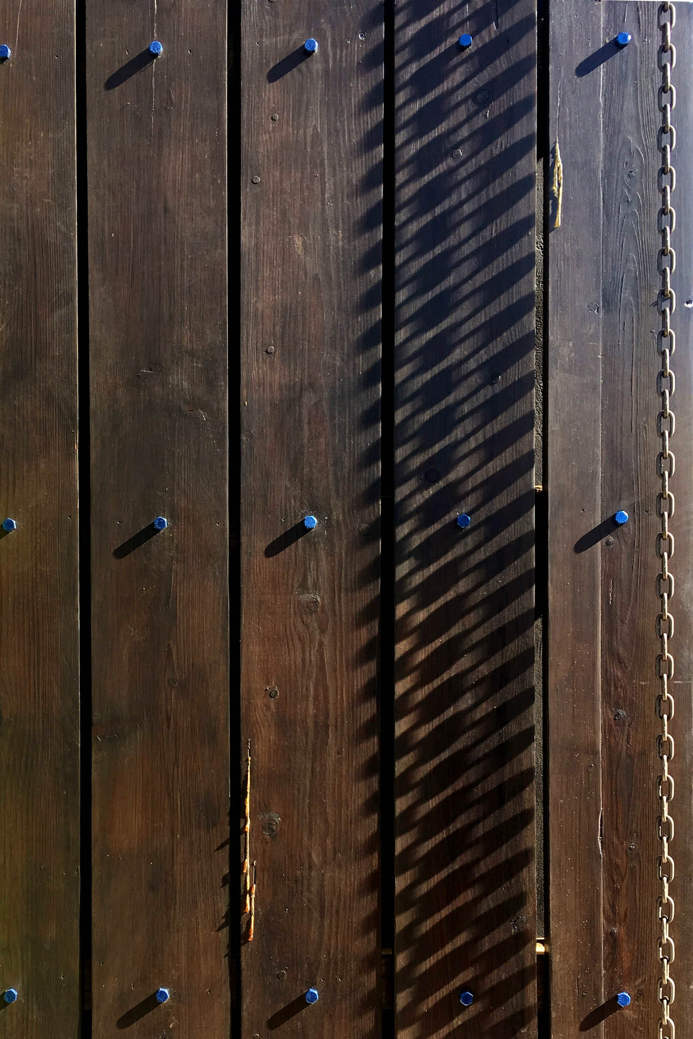 Sparrow House Samantha Mink Archdaily