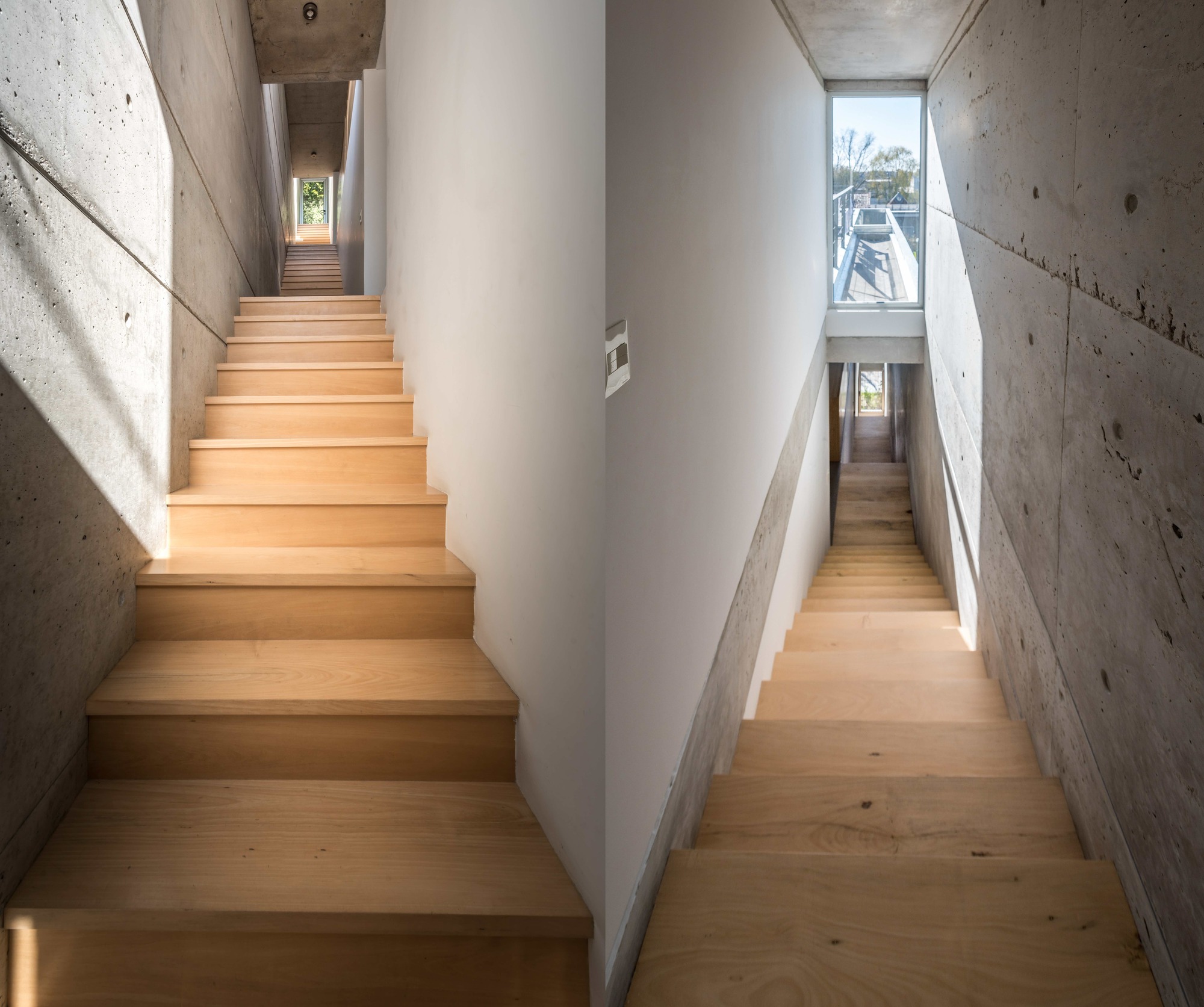 Gallery of LRC House / BDB Arquitectos - 13