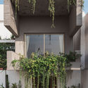 Jungalow House / Neogenesis+Studi0261 - Door, Facade, Windows