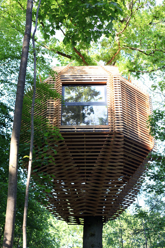 ORIGIN Tree House / Atelier LAVIT - Windows