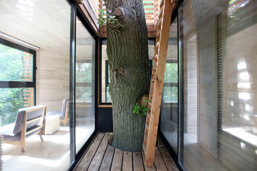 ORIGIN Tree House / Atelier LAVIT - Windows, Beam