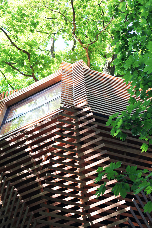 ORIGIN Tree House / Atelier LAVIT - Forest