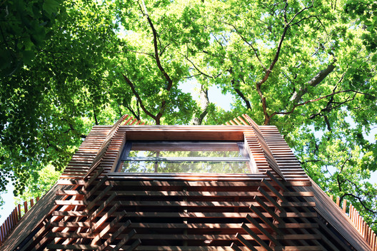 ORIGIN Tree House / Atelier LAVIT - Forest