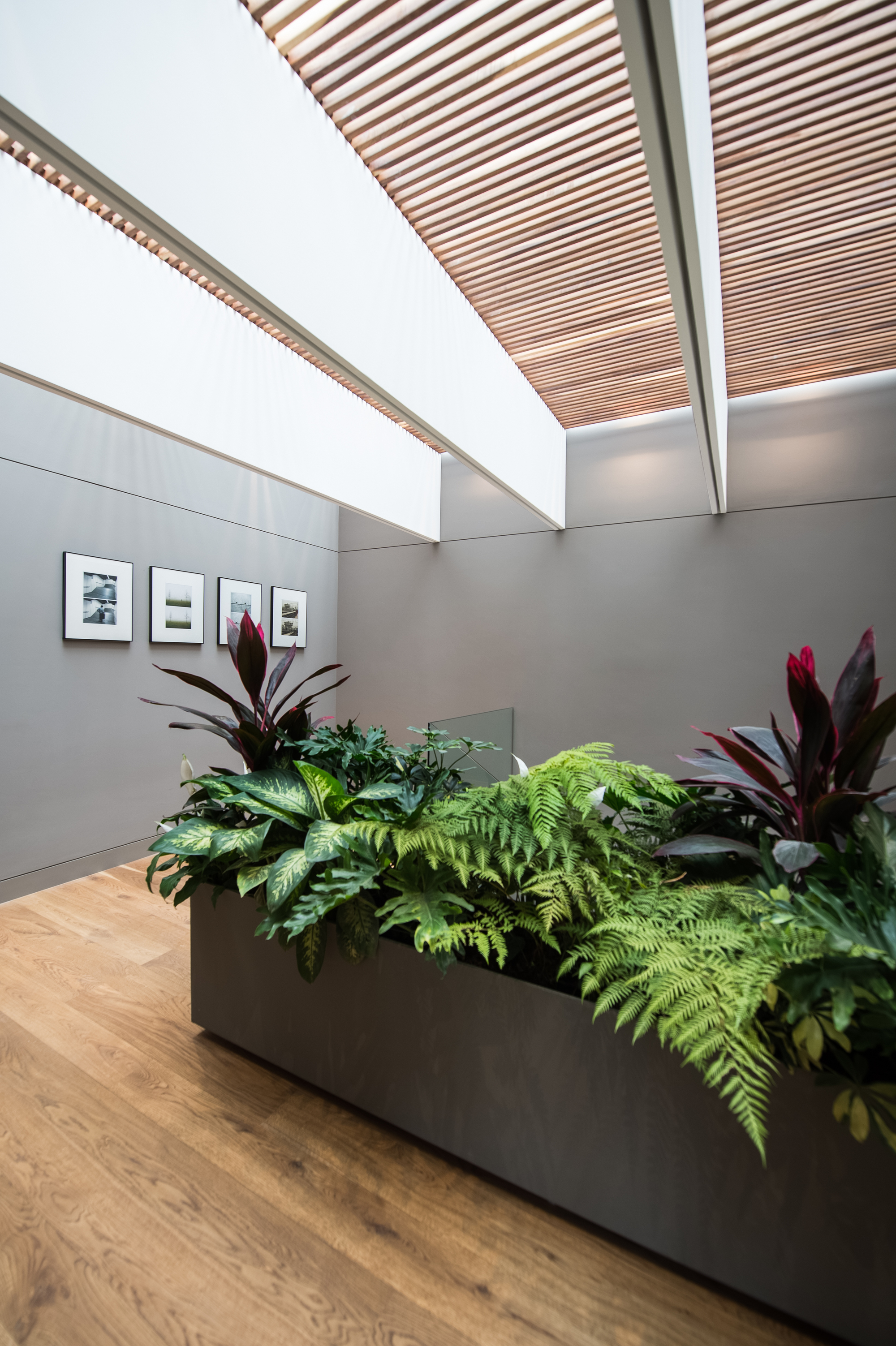 Gallery of Ramos House / JJRR/Arquitectura 10