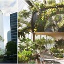 Gallery of TreeHouse / LEVER Architecture - 1